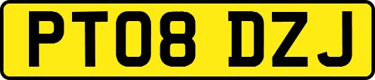 PT08DZJ