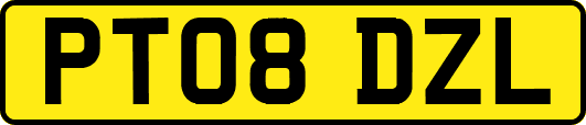 PT08DZL