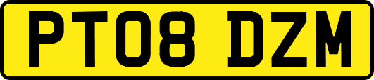 PT08DZM
