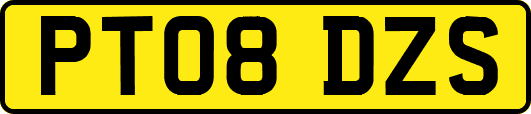 PT08DZS