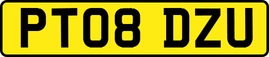 PT08DZU