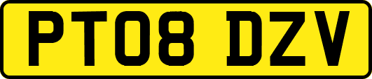PT08DZV