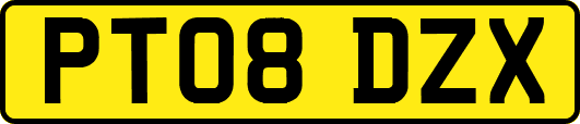 PT08DZX