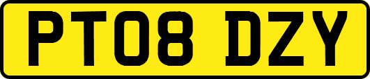 PT08DZY