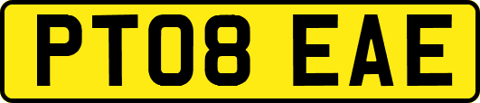 PT08EAE