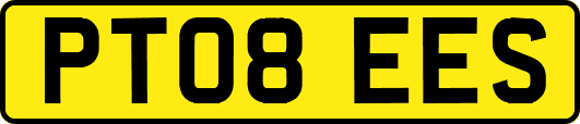 PT08EES