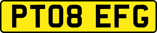 PT08EFG