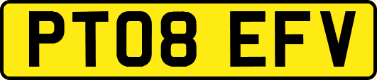 PT08EFV
