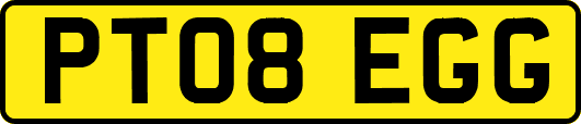 PT08EGG