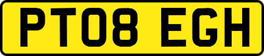 PT08EGH