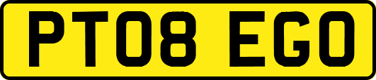 PT08EGO