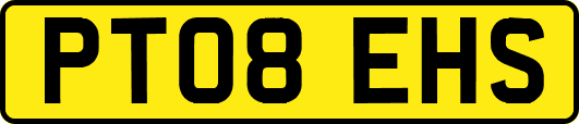 PT08EHS