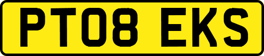 PT08EKS