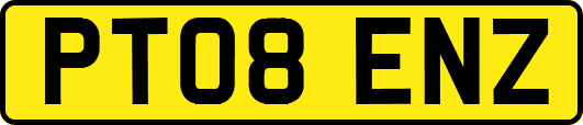 PT08ENZ