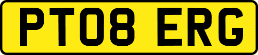 PT08ERG
