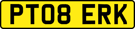 PT08ERK