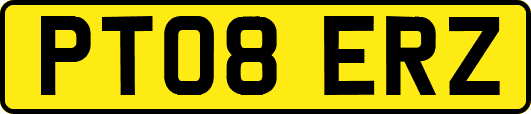 PT08ERZ