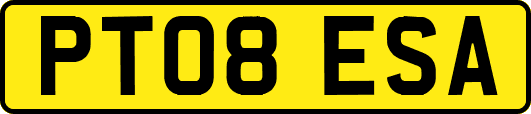 PT08ESA