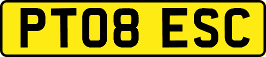 PT08ESC