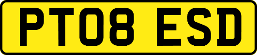PT08ESD