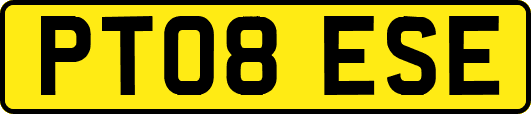 PT08ESE