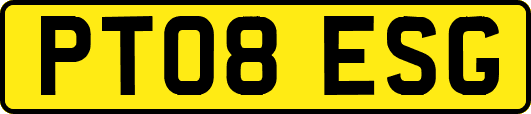 PT08ESG