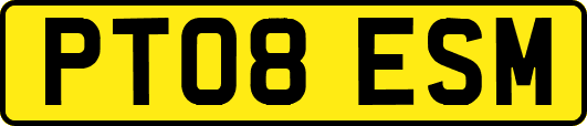 PT08ESM