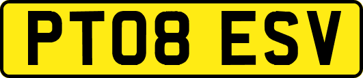 PT08ESV