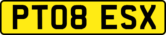 PT08ESX