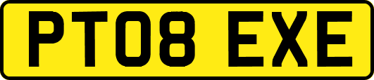 PT08EXE