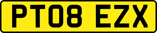 PT08EZX