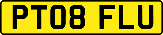 PT08FLU