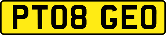 PT08GEO