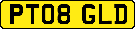 PT08GLD