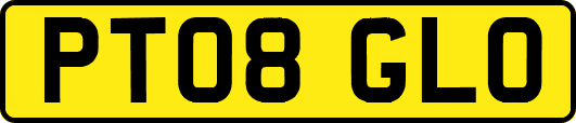 PT08GLO