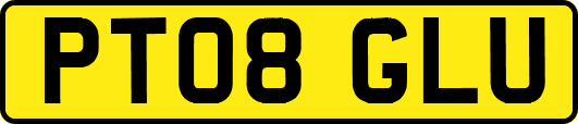 PT08GLU