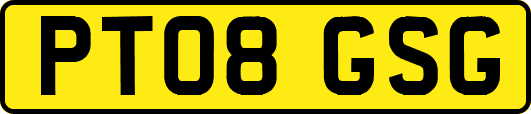 PT08GSG