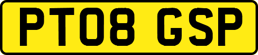 PT08GSP