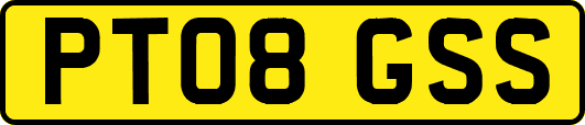 PT08GSS