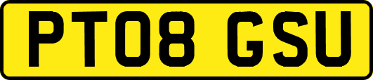 PT08GSU