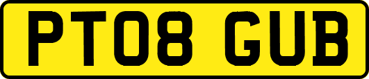 PT08GUB
