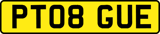 PT08GUE