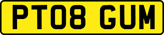 PT08GUM