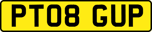 PT08GUP