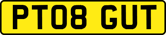 PT08GUT