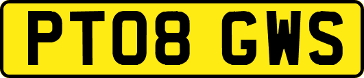 PT08GWS