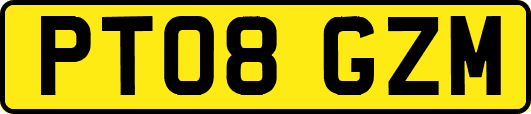 PT08GZM
