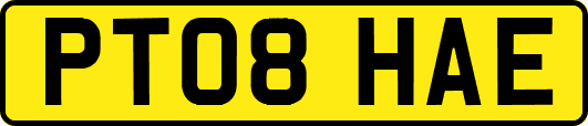 PT08HAE