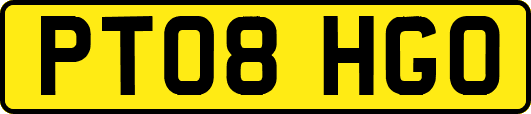 PT08HGO