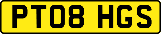 PT08HGS
